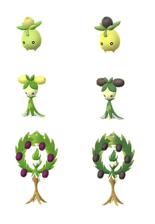 Ultimate Guide To Shiny Smoliv: Tips & Tricks For Success