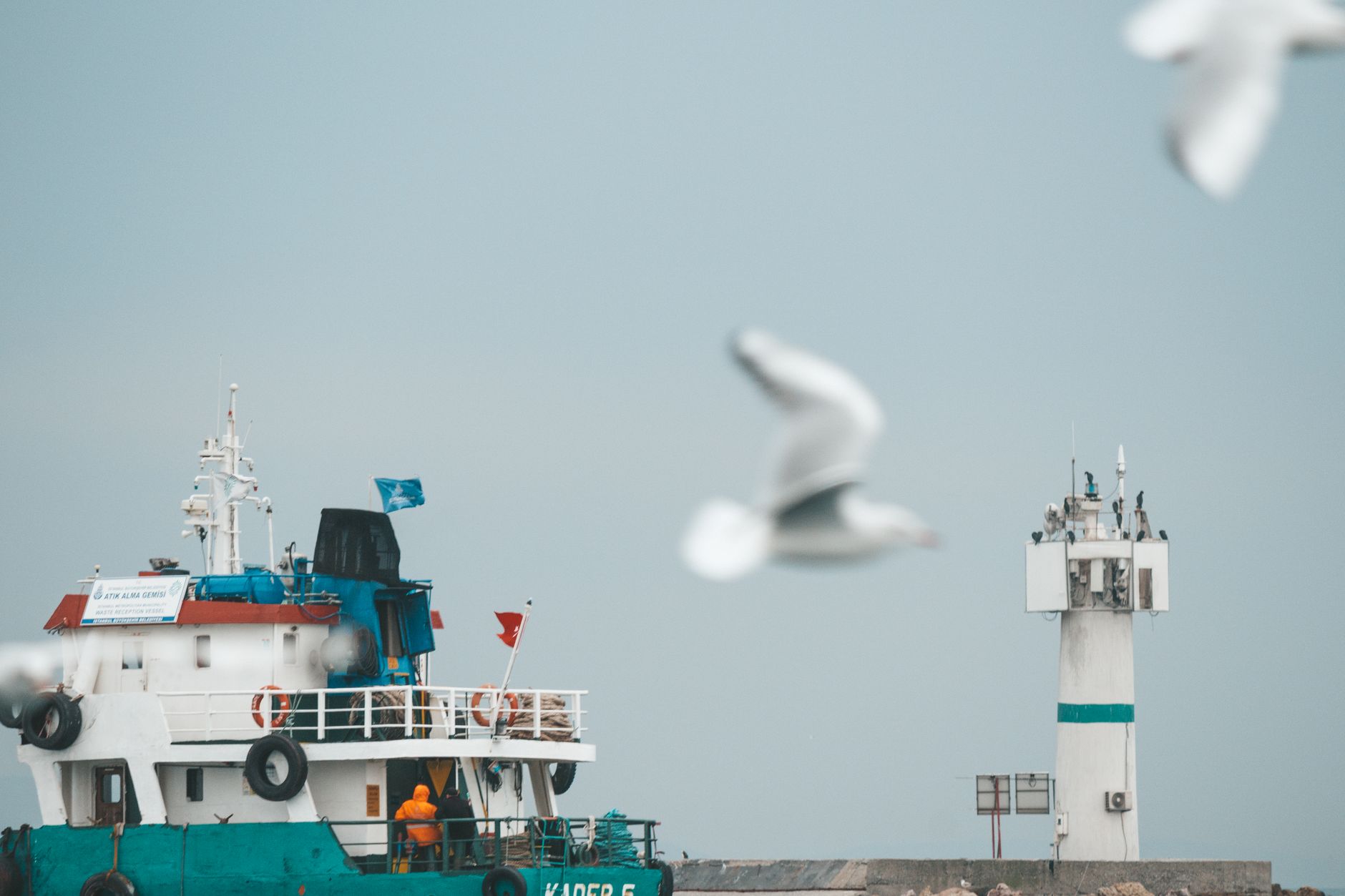 Fly-Hi Maritime IPO Status: Quick Check for Investors