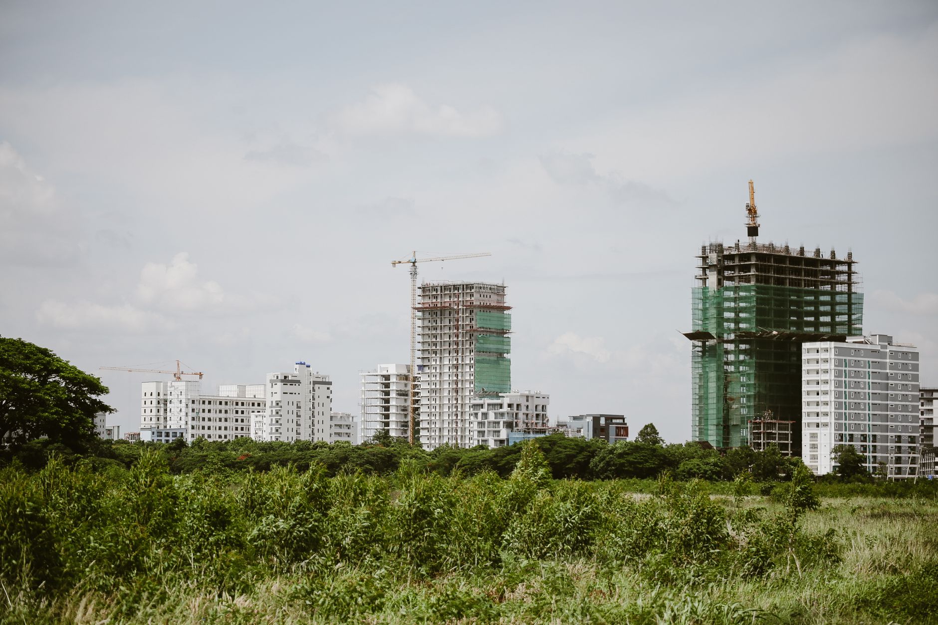 Real estate expansion: Proven strategies for growth at Reetech